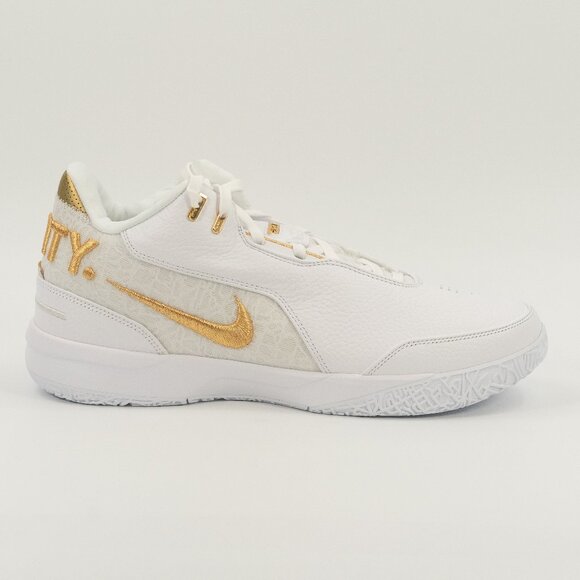 Nike Zoom LeBron NXXT Gen AMPD 'Equity' FJ1566-103 Basketball size 13